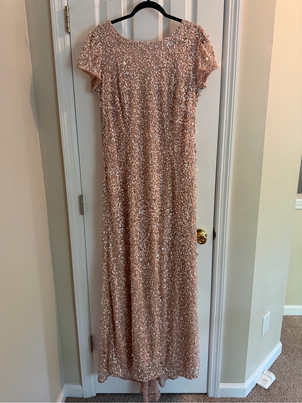 Adrianna Papell Blush Sequin Maxi Dress